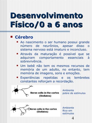 4
DesenvolvimentoDesenvolvimento
Físico/0 a 6 anosFísico/0 a 6 anos
 Cérebro
 Ao nascimento o ser humano possui grande
número de neurônios, apesar disso o
sistema nervoso está imaturo e inconcluso.
 Através da maturação é possível que se
adquiram comportamento essenciais à
sobrevivência.
 Um bebê não tem os mesmos recursos de
memória de um adulto, no entanto, tem
memória de imagens, sons e emoções.
 Experiências repetidas e os lembretes
constantes reforçam a recordação.
Ambiente
pobre de estímulos
Ambiente
Rico em
estímulos
 