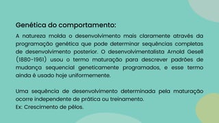 A natureza molda o desenvolvimento mais claramente através da
programação genética que pode determinar sequências completas
de desenvolvimento posterior. O desenvolvimentalista Arnold Gesell
(1880-1961) usou o termo maturação para descrever padrões de
mudança sequencial geneticamente programados, e esse termo
ainda é usado hoje uniformemente.
Uma sequência de desenvolvimento determinada pela maturação
ocorre independente de prática ou treinamento.
Ex: Crescimento de pêlos.
Genética do comportamento:
 
