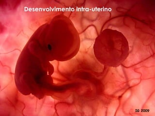 Desenvolvimento intra-uterino IG 2009 