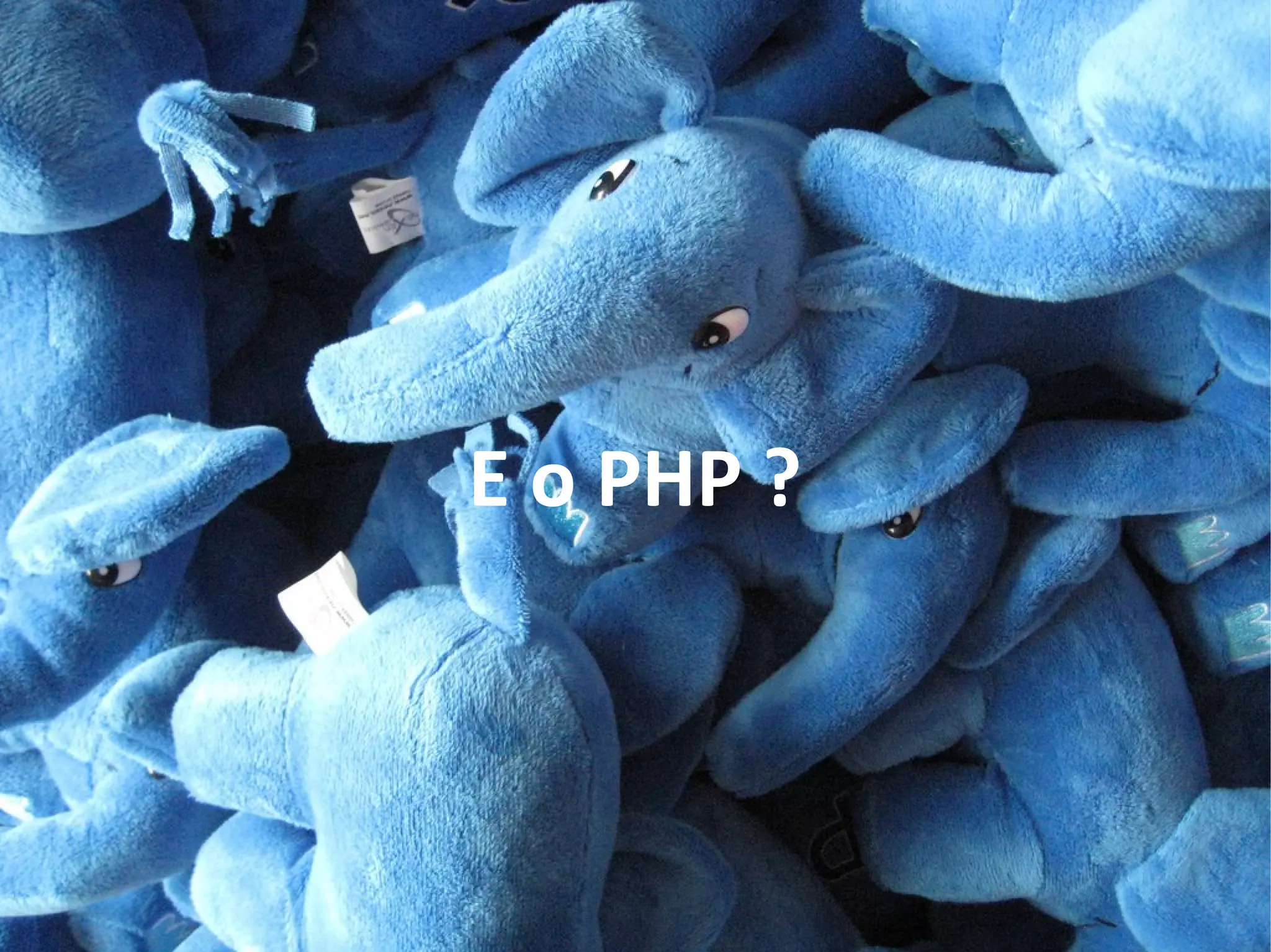 E o PHP ?
 