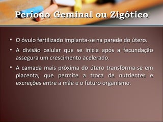 Período Geminal ou Zigótico
• O óvulo fertilizado implanta-se na parede do útero.
• A divisão celular que se inicia após a fecundação
assegura um crescimento acelerado.
• A camada mais próxima do útero transforma-se em
placenta, que permite a troca de nutrientes e
excreções entre a mãe e o futuro organismo.

 