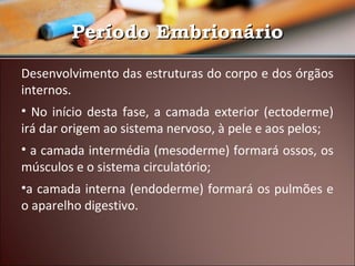 Período Embrionário
Desenvolvimento das estruturas do corpo e dos órgãos
internos.
• No início desta fase, a camada exterior (ectoderme)
irá dar origem ao sistema nervoso, à pele e aos pelos;
• a camada intermédia (mesoderme) formará ossos, os
músculos e o sistema circulatório;
•a camada interna (endoderme) formará os pulmões e
o aparelho digestivo.

 