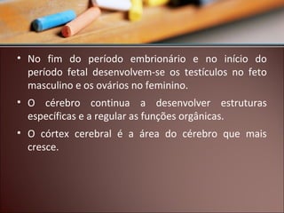 • No fim do período embrionário e no início do
período fetal desenvolvem-se os testículos no feto
masculino e os ovários no feminino.
• O cérebro continua a desenvolver estruturas
específicas e a regular as funções orgânicas.
• O córtex cerebral é a área do cérebro que mais
cresce.

 