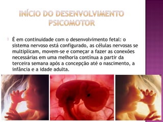    É em continuidade com o desenvolvimento fetal: o
    sistema nervoso está configurado, as células nervosas se
    multiplicam, movem-se e começar a fazer as conexões
    necessárias em uma melhoria contínua a partir da
    terceira semana após a concepção até o nascimento, a
    infância e a idade adulta.
 