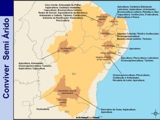 33
ConviverSemiÁrido
 