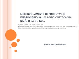 DESENVOLVIMENTO REPRODUTIVO E 
EMBRIONÁRIO DA DASYATIS CHRYSONOTA 
NA ÁFRICA DO SUL. 
Nicole Russo Guerrato. 
 