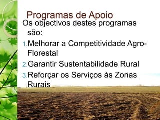 Programas de Apoio
Os objectivos destes programas
  são:
1.Melhorar a Competitividade Agro-
  Florestal
2.Garantir Sustentabilidade Rural
3.Reforçar os Serviços às Zonas
  Rurais
 