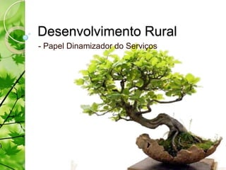 Desenvolvimento Rural
- Papel Dinamizador do Serviços
 