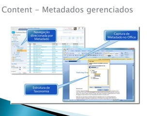Content - Metadadosgerenciados
