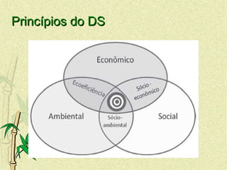 Princípios do DSPrincípios do DS
 