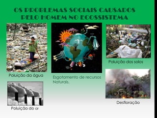OS PROBLEMAS SOCIAIS CAUSADOS
    PELO HOMEM NO ECOSSISTEMA




                                             Poluição dos solos


Poluição da água   Esgotamento de recursos
                   Naturais.




                                                 Desfloração
 Poluição do ar
 