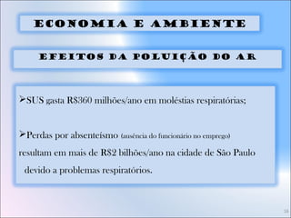 16
Efeitos da Poluição do Ar
SUS gasta R$360 milhões/ano em moléstias respiratórias;
Perdas por absenteísmo (ausência do funcionário no emprego)
resultam em mais de R$2 bilhões/ano na cidade de São Paulo
devido a problemas respiratórios.
Economia e ambiente
 