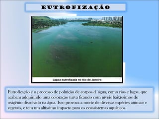 Eutrofização é o processo de poluição de corpos d´água, como rios e lagos, que
acabam adquirindo uma coloração turva ficando com níveis baixíssimos de
oxigênio dissolvido na água. Isso provoca a morte de diversas espécies animais e
vegetais, e tem um altíssimo impacto para os ecossistemas aquáticos.
Eutrofização
 