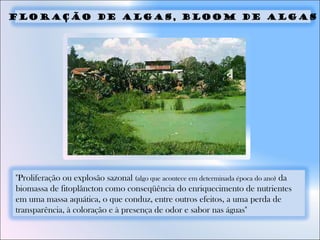 "Proliferação ou explosão sazonal (algo que acontece em determinada época do ano) da
biomassa de fitoplâncton como conseqüência do enriquecimento de nutrientes
em uma massa aquática, o que conduz, entre outros efeitos, a uma perda de
transparência, à coloração e à presença de odor e sabor nas águas" 
FLORAÇÃO DE ALGAS, BLOOM DE ALGAS
 