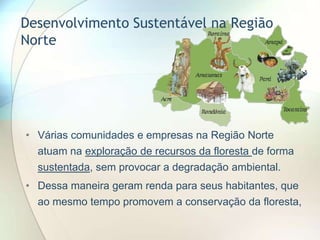 Desenvolvimento Sustentável na Região
Norte

• Várias comunidades e empresas na Região Norte

atuam na exploração de recursos da floresta de forma
sustentada, sem provocar a degradação ambiental.
• Dessa maneira geram renda para seus habitantes, que

ao mesmo tempo promovem a conservação da floresta,

 