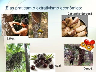 Elas praticam o extrativismo econômico:
Castanha-do-pará

Látex

Açaí

Dendê

 
