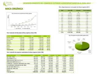 DESENVOLVIMIENTO DEL COMERCIO EXTERIOR AGROEXPORTADOR EN EL PERU 2013
Perú: Evolución de Mercados de Maca orgánica (Valor FOB)
Mercado 2011 2012 2013 Var. %
Estados Unidos 1.116.461 1.952.481 3.609.993 84,9%
Reino Unido 270.376 371.808 678.509 82,5%
Canada 155.907 302.897 548.022 80,9%
Australia 177.641 179.171 423.673 136,5%
Alemania 252.807 222.688 369.473 65,9%
Japon 482.625 456.726 362.469 -20,6%
Francia 212.485 133.565 273.261 104,6%
Resto 321.747 498.986 680.188 36,3%
Total General 2.990.048 4.118.321 6.945.588 68,7%
Perú: Evolución de empresas exportadoras de Maca orgánica (Valor FOB)
Empresa 2011 2012 2013 Var. % Part. % Acum.%
NATURAL PERU 657.274 866.032 1.295.674 50% 18,65% 18,65%
ECOANDINO S.A.C. 660.525 817.168 1.236.656 51% 17,80% 36,46%
PERUVIAN NATURES & S S.A.C. 440.016 500.209 852.968 71% 12,28% 48,74%
PERUVIAN HERITAGES.A.C 124.110 293.516 519.210 77% 7,48% 56,22%
COMPLEM. Y SUPLEM. ORGÁNICOS DEL PERU 150.125 216.526 453.835 110% 6,53% 62,75%
ALGARROBOS ORGANICOS DEL PERU 12.500 107.035 434.526 306% 6,26% 69,01%
MG NATURA PERU S.A.C. 46.966 59.117 349.022 490% 5,03% 74,03%
KOKEN DEL PERU SRL 141.590 171.807 280.313 63% 4,04% 78,07%
RESTO 756.943 1.086.912 1.523.385 40% 21,93% 100,00%
Total general 2.990.048 4.118.321 6.945.588 69% 100,00%
 