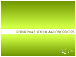 DESENVOLVIMIENTO DEL COMERCIO EXTERIOR AGROEXPORTADOR EN EL PERU 2012
 