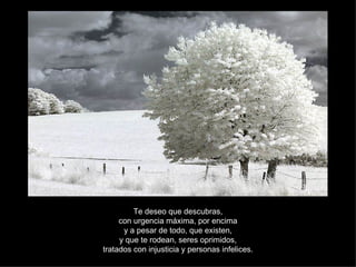 Te deseo que descubras, con urgencia máxima, por encima y a pesar de todo, que existen, y que te rodean, seres oprimidos, tratados con injusticia y personas infelices. 