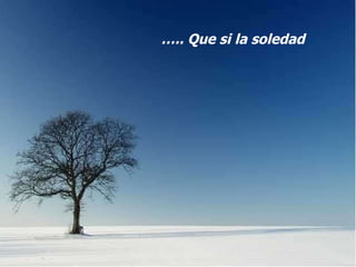 … .. Que si la soledad 