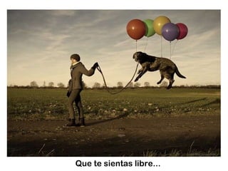 Que te sientas  libre... 
