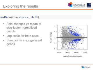 • Fold changes vs mean of
size-factor normalized
counts
• Log scale for both axes
• Blue points are significant
genes
Exploring the results
 