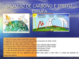 DIÓXIDO DE CARBONO E EFEITO ESTUFA 