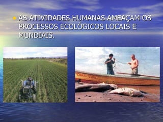 AS ATIVIDADES HUMANAS AMEAÇAM OS PROCESSOS ECOLÓGICOS LOCAIS E MUNDIAIS. 