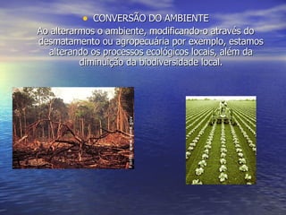 CONVERSÃO DO AMBIENTE Ao alterarmos o ambiente, modificando-o através do desmatamento ou agropecuária por exemplo, estamos alterando os processos ecológicos locais, além da diminuição da biodiversidade local. 