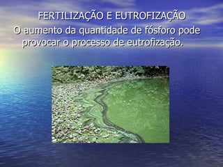 FERTILIZAÇÃO E EUTROFIZAÇÃO O aumento da quantidade de fósforo pode provocar o processo de eutrofização. 