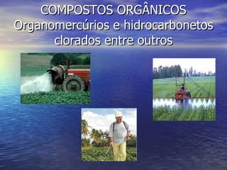 COMPOSTOS ORGÂNICOS Organomercúrios e hidrocarbonetos clorados entre outros 