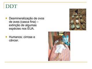 DDT Desmineralização de ovos de aves (casca fina) – extinção de algumas espécies nos EUA. Humanos: cirrose e câncer. 
