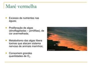 Maré vermelha Excesso de nutrientes nas águas; Proliferação de algas (dinoflageladas – pirrófitas), de cor avermelhada; Metabolismo das algas libera toxinas que atacam sistema nervoso de animais marinhos; Consomem grandes quantidades de O 2 . 