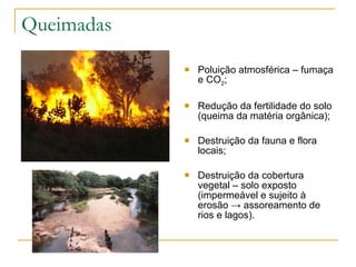 Queimadas Poluição atmosférica – fumaça e CO 2 ; Redução da fertilidade do solo (queima da matéria orgânica); Destruição da fauna e flora locais; Destruição da cobertura vegetal – solo exposto (impermeável e sujeito à erosão  -> assoreamento de rios e lagos ). 