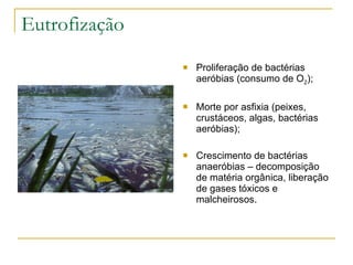Eutrofização Proliferação de bactérias aeróbias (consumo de O 2 ); Morte por asfixia (peixes, crustáceos, algas, bactérias aeróbias); Crescimento de bactérias anaeróbias – decomposição de matéria orgânica, liberação de gases tóxicos e malcheirosos. 