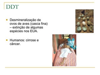 DDT Desmineralização de ovos de aves (casca fina) – extinção de algumas espécies nos EUA. Humanos: cirrose e câncer. 