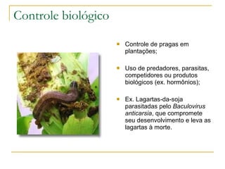 Controle biológico Controle de pragas em plantações; Uso de predadores, parasitas, competidores ou produtos biológicos (ex. hormônios); Ex. Lagartas-da-soja parasitadas pelo  Baculovirus anticarsia , que compromete seu desenvolvimento e leva as lagartas à morte. 