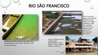 RIO SÃO FRANCISCO
No Rio das Velhas, afluente do velho chico,
contaminação é recorrente, devido ao alto
nível de poluição.
Com recuo das
águas na altura da
hidrelétrica de
Xingó, na região
Nordeste, algas
acumuladas
formaram um
tapete verde
próximo à
estrutura da
barragem.
Outro problema são as
embarcações
abandonadas. Com o
tempo, o ferro oxida e
muda a cor do rio.
 