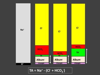 Na+
K+
TA = Na+ - (Cl- + HCO3
-)
Album-
HCO3
-
Phosph-
Cl-
TA-
HCO3
-
Cl-
Album-
Phosph-
TA-
HCO3
-
Cl-
Album-
Phosph-
TA-
 