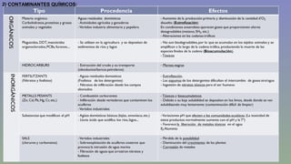 2) CONTAMINANTES QUÍMICOS: 
 