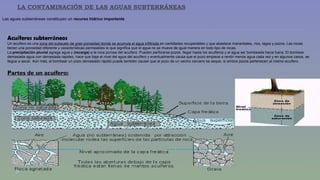 LA CONTAMINACIÓN DE LAS AGUAS SUBTERRÁNEAS 
Las aguas subterráneas constituyen un recurso hídrico importante 
Acuíferos subterráneos 
Un acuífero es una zona del subsuelo de gran porosidad donde se acumula el agua infiltrada en cantidades recuperables y que abastece manantiales, ríos, lagos y pozos. Las rocas 
tienen una porosidad diferente y características permeables lo que significa que el agua no se mueve de igual manera en todo tipo de rocas. 
La precipitación pluvial agrega agua y (recarga) a la roca porosa del acuífero. Pueden perforarse pozos, llegar hasta los acuíferos y el agua ser bombeada hacia fuera. El bombear 
demasiada agua con demasiada rapidez, hace que baje el nivel del agua del acuífero y eventualmente causa que el pozo empiece a rendir menos agua cada vez y en algunos casos, se 
llegue a secar. Aún más, el bombear un pozo demasiado rápido puede también causar que el pozo de un vecino cercano se seque, si ambos pozos pertenecen al mismo acuífero. 
Partes de un acuífero: 
 