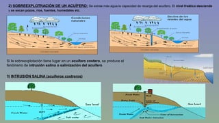 2) SOBREEXPLOTRACIÓN DE UN ACUÍFERO: Se extrae más agua la capacidad de recarga del acuífero. El nivel freático desciende 
y se secan pozos, ríos, fuentes, humedales etc. 
Si la sobreexplotación tiene lugar en un acuífero costero, se produce el 
fenómeno de intrusión salina o salinización del acuífero 
3) INTRUSIÓN SALINA (acuíferos costreros) 
 