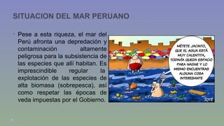 SITUACION DEL MAR PERUANO 
 Pese a esta riqueza, el mar del 
Perú afronta una depredación y 
contaminación altamente 
peligrosa para la subsistencia de 
las especies que allí habitan. Es 
imprescindible regular la 
explotación de las especies de 
alta biomasa (sobrepesca), así 
como respetar las épocas de 
veda impuestas por el Gobierno. 
 