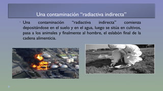 Una contaminación “radiactiva indirecta” 
 Una contaminación “radiactiva indirecta” comienza 
depositándose en el suelo y en el agua, luego se sitúa en cultivos, 
pasa a los animales y finalmente al hombre, el eslabón final de la 
cadena alimenticia. 
 