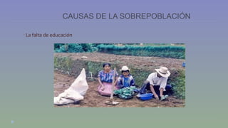 CAUSAS DE LA SOBREPOBLACIÓN 
• La falta de educación 
 