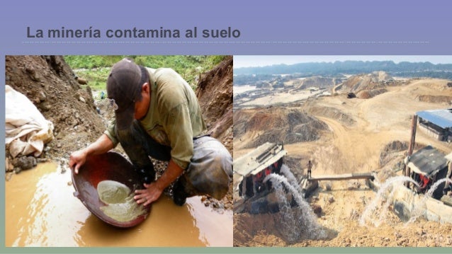 Desequilibrio ecológico.