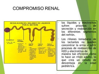 • los líquidos y electrolitos
sufren procesos de
secreción y reabsorción en
los diferentes segmentos
del nefrón.
• Los riñones inmaduros de
los lactantes no pueden
concentrar la orina o sufrir
procesos de reabsorción de
H2O y electrolitos de
manera tan eficiente como
lo hace un riñón adulto, lo
que crea un estado de
desventaja en la edad
pediátrica.
COMPROMISO RENAL
 