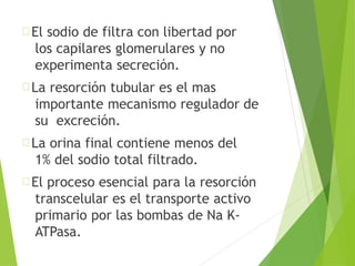El sodio de filtra con libertad por
los capilares glomerulares y no
experimenta secreción.
La resorción tubular es el mas
importante mecanismo regulador de
su excreción.
La orina final contiene menos del
1% del sodio total filtrado.
El proceso esencial para la resorción
transcelular es el transporte activo
primario por las bombas de Na K-
ATPasa.
 
