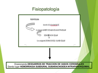 Ocasionando DESGARROS DE TRACCION DE VASOS CEREBRALES
Dando lugar HEMORRAGIA SUBDURAL SUBARACNOIDEA INTRAPARENQUIMAL
Fisiopatología
 