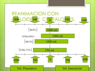 REANIMACION CON
COLOIDES Y CRISTALOIDES.
1000 ml.
250 ml.
1000 ml.
1000 ml.ClNa 0.9%
SG5%
ClNa 7.5%
Alb 5%
1000 500 5000 1000
1000 500 0 500 1000
Vol. Plasmático Vol. Intersticial
 